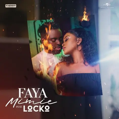 Pochette de Faya