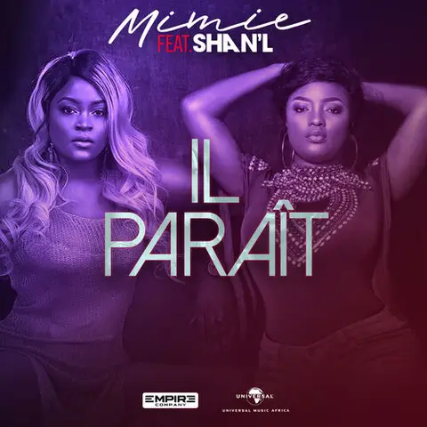 Pochette de Il paraît